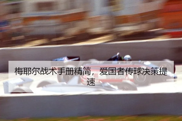 梅耶尔战术手册精简，爱国者传球决策提速