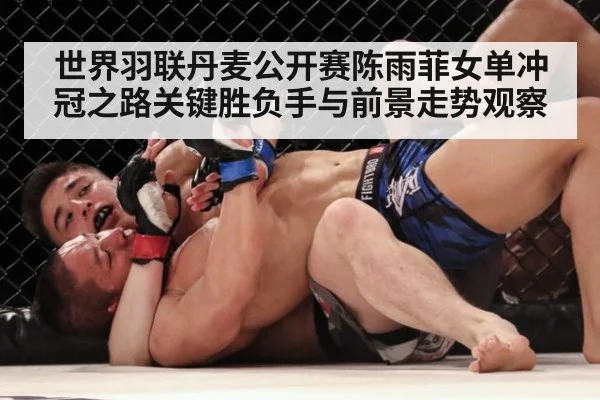 世界羽联丹麦公开赛陈雨菲女单冲冠之路关键胜负手与前景走势观察